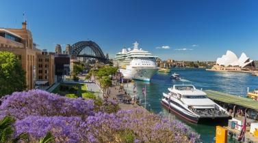 Sydney Jacaranda2